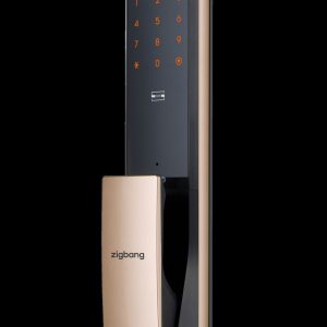 SHP-P72 Gold Outer Left Digital Lock